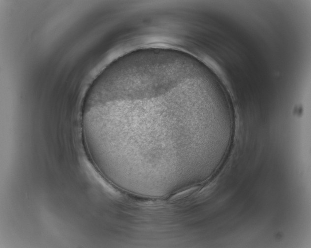 X0000112021384200908241505