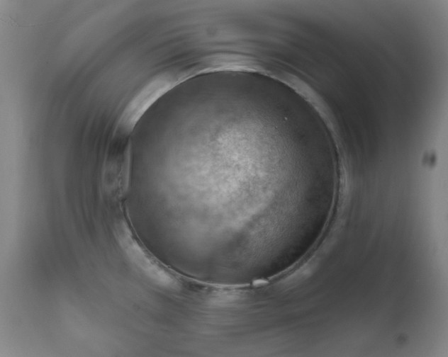 X0000112021385200908241505