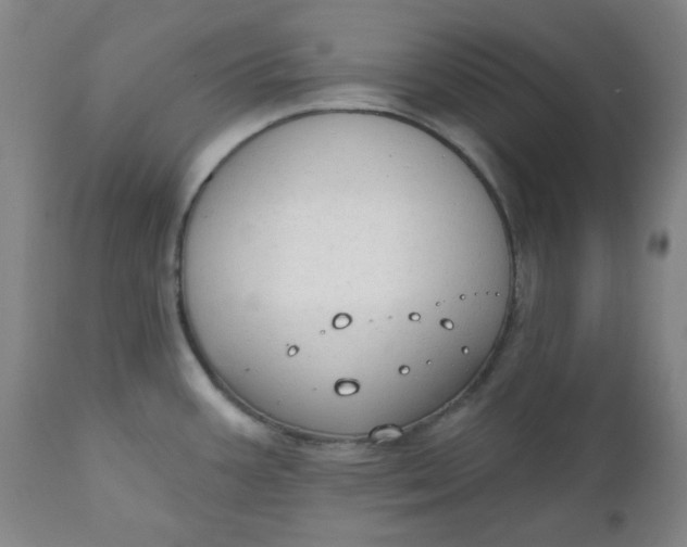 X0000112021387200908241505