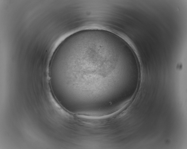 X0000112021388200908241505