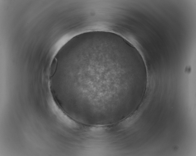 X0000112021389200908241505