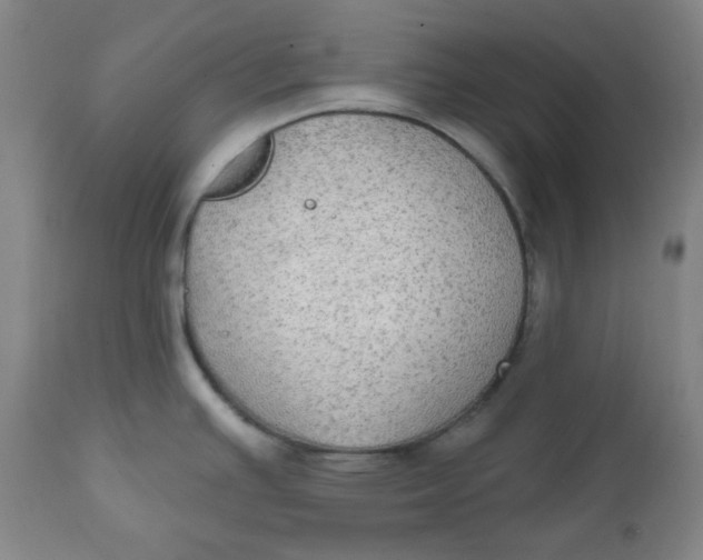 X0000112021391200908241505