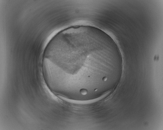 X0000112021392200908241505