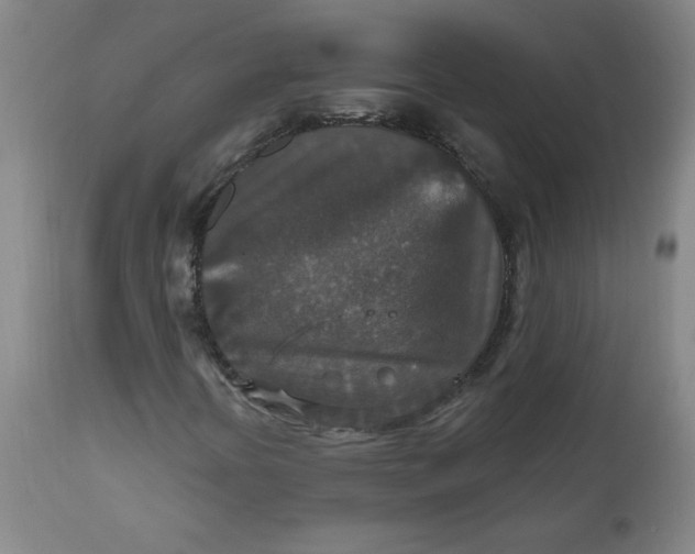 X0000112021394200908241504