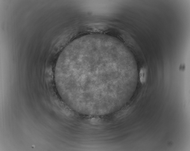 X0000112021395200908241504