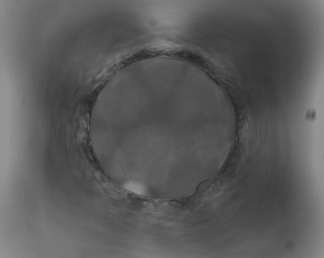 X0000112021397200908241504