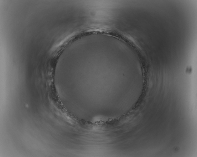 X0000112021399200908241504