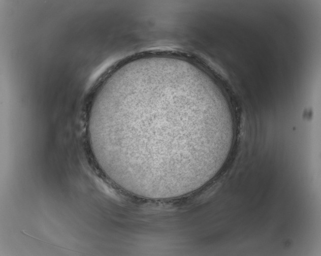 X0000112021400200908241504