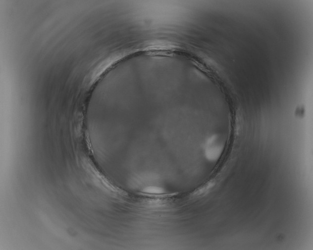 X0000112021401200908241504