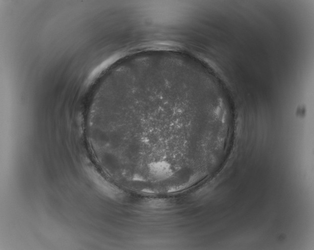 X0000112021402200908241504