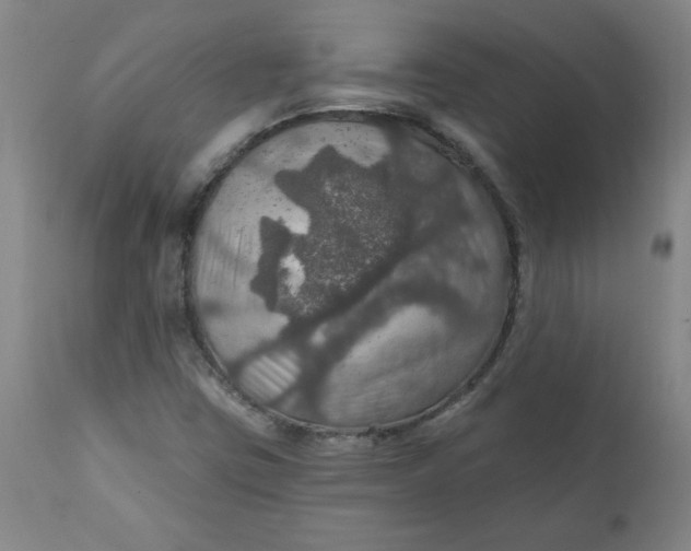 X0000112021403200908241504