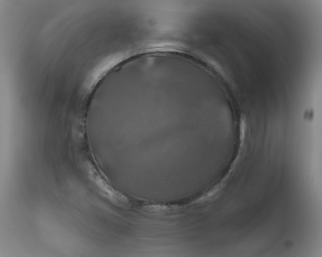 X0000112021405200908241504