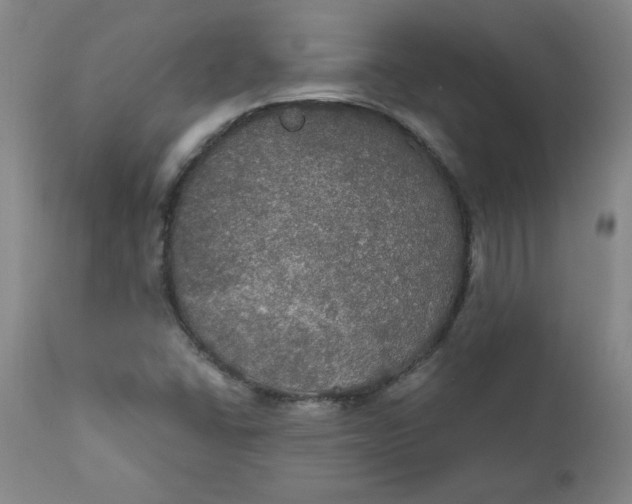 X0000112021406200908241504