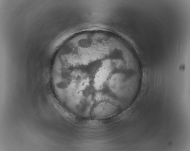 X0000112021407200908241504