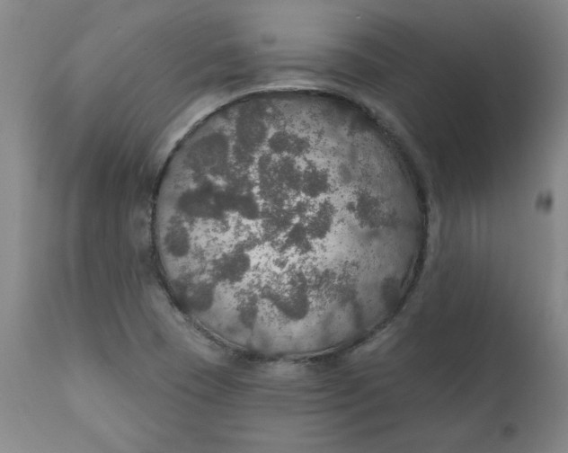 X0000112021409200908241504