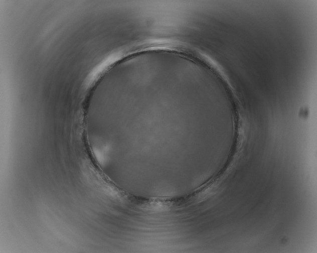 X0000112021411200908241504