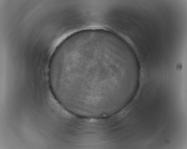 X0000112021412200908241504