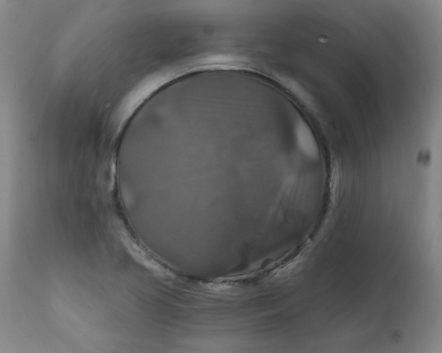 X0000112021413200908241504