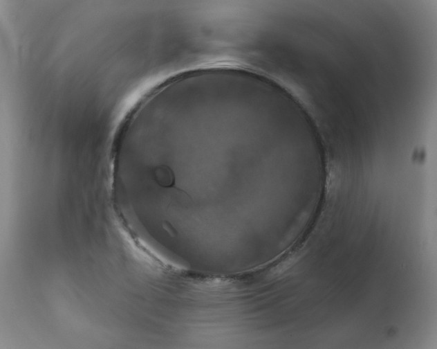 X0000112021414200908241504