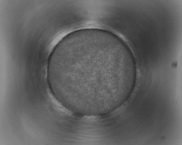 X0000112021415200908241504