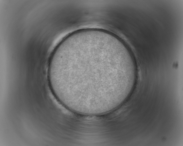 X0000112021416200908241504