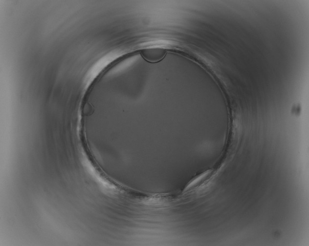 X0000112021418200908241504