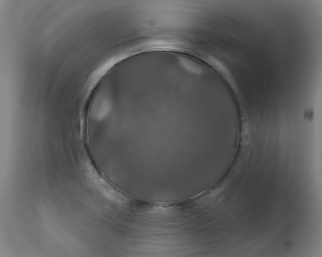 X0000112021419200908241504