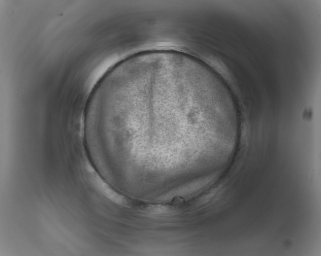 X0000112021420200908241504