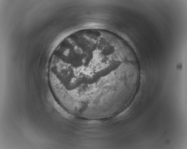 X0000112021421200908241504