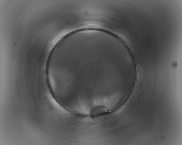 X0000112021422200908241504