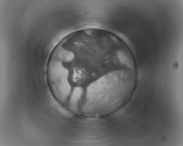 X0000112021423200908241504