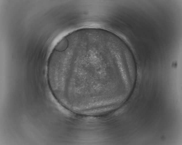 X0000112021424200908241504