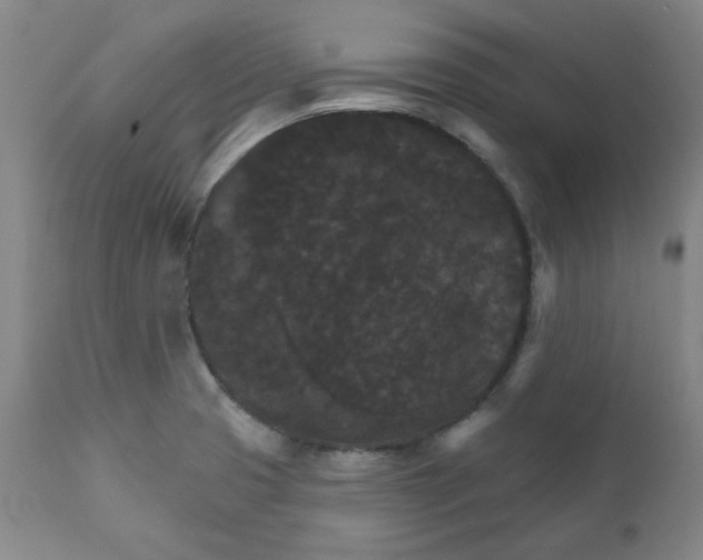 X0000112021425200908241504