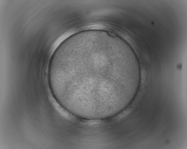 X0000112021426200908241504