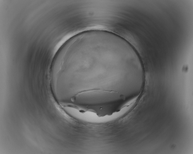 X0000112021428200908241504