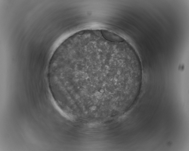 X0000112021429200908241504