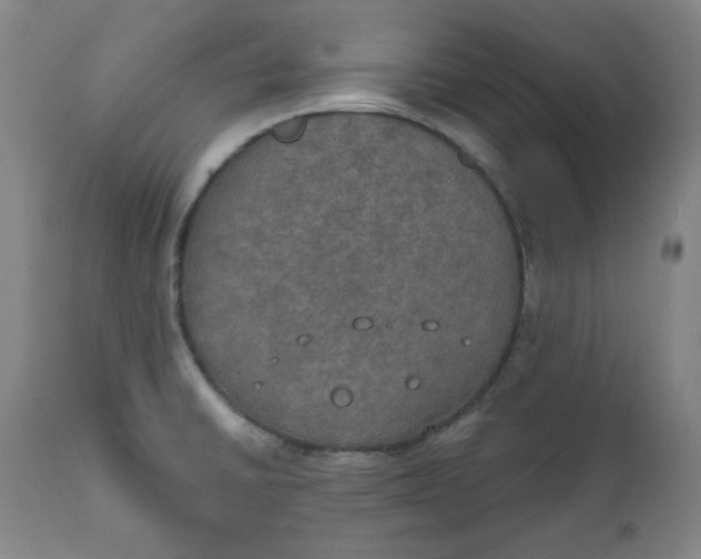 X0000112021430200908241504