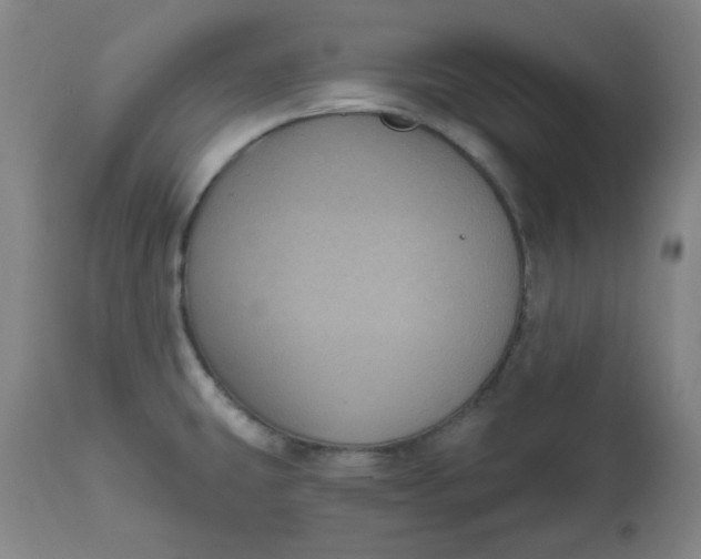 X0000112021431200908241504