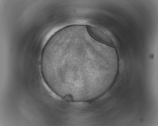 X0000112021432200908241504