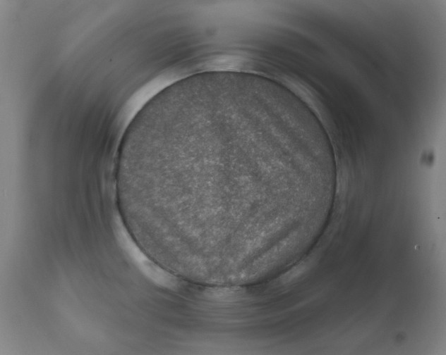 X0000112021434200908241504