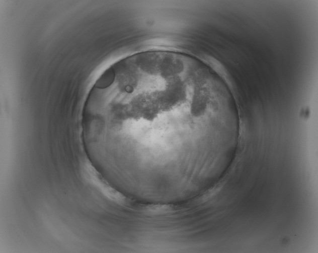 X0000112021435200908241504