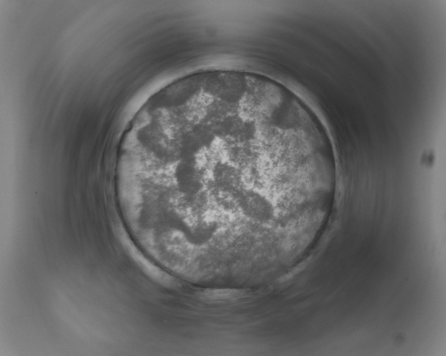 X0000112021437200908241504