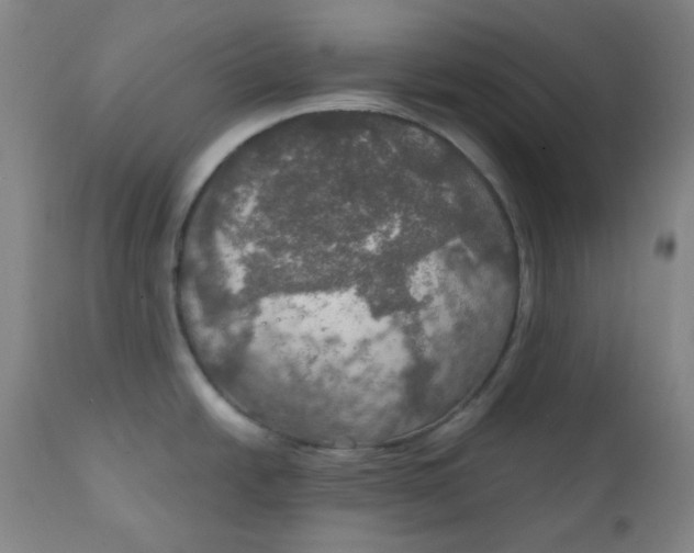 X0000112021438200908241504