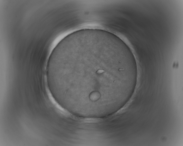 X0000112021440200908241504