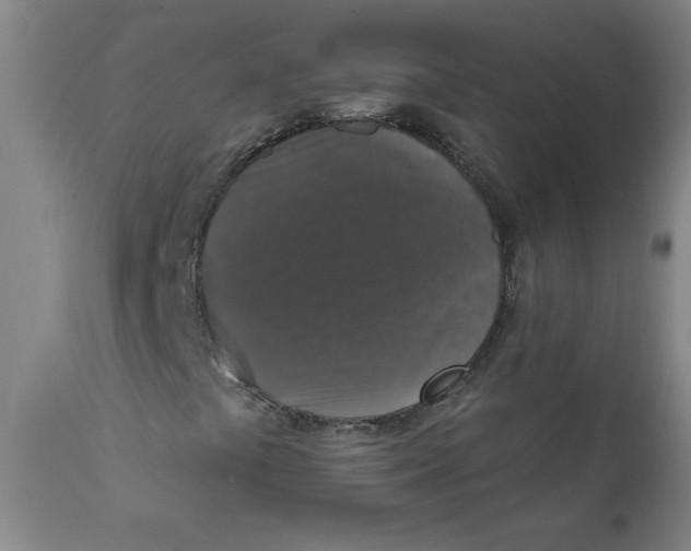 X0000112021441200908241503