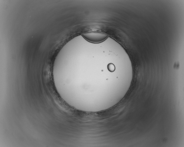 X0000112021442200908241503