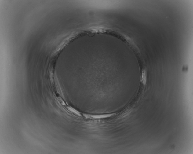 X0000112021444200908241503