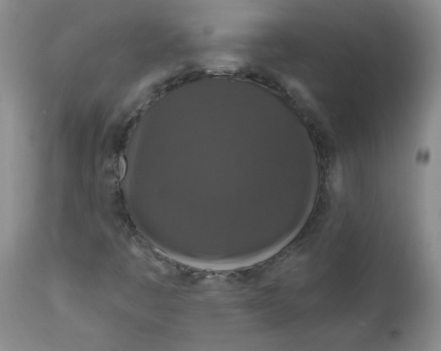 X0000112021445200908241503