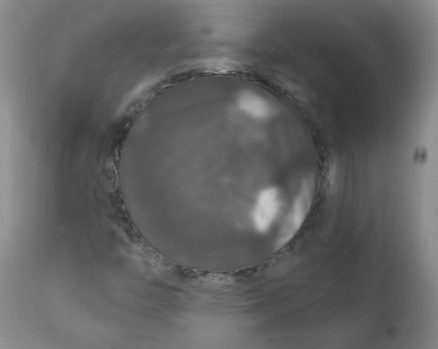 X0000112021446200908241503