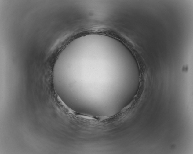 X0000112021447200908241503